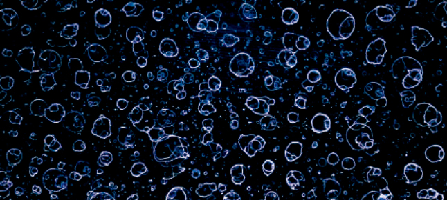 水シミ防御