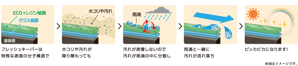 フレッシュキーパーの自浄プロセス